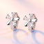 Silver Snow Earrings