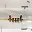 Family Bracelets for Women