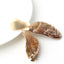 Natural Shell Drop Earrings Jewelry