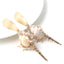 Natural Shell Drop Earrings Jewelry
